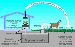 Funktion Biogasanlage